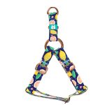 Blue Lemon - Step-in harness - april & june