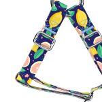 Blue Lemon - Step-in harness - april & june