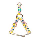 Nyári Citromok - Belelépős Kutyahám - Summer Fresh - april & june