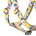 Nyári Citromok - Belelépős Kutyahám - Summer Fresh - april & june