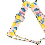 Nyári Citromok - Belelépős Kutyahám - Summer Fresh - april & june