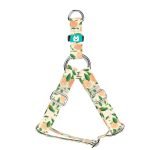 Barack mintás - Belelépős Kutyahám - Peaches - april & june