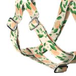 Barack mintás - Belelépős Kutyahám - Peaches - april & june