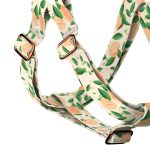 Barack mintás - Belelépős Kutyahám - Peaches - april & june