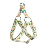 Barack mintás - Belelépős Kutyahám - Peaches - april & june