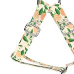 Barack mintás - Belelépős Kutyahám - Peaches - april & june