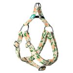 Barack mintás - Belelépős Kutyahám - Peaches - april & june