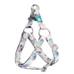 Pastel Galaxy - Step-in harness - april & june