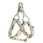 Pillangók és Vadvirágok - Belelépős Kutyahám - Butterflies and Wild Flowers - april & june