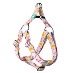 Nyári gyümölcsök - Belelépős Kutyahám - Summer fruits - april & june