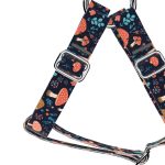 Gombás Erdő - Belelépős Kutyahám - Mushroom Forest - april & june