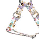 Pembroke Welsh Corgi - Belelépős Kutyahám - Pembroke Welsh Corgi - april & june