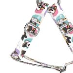 Pembroke Welsh Corgi, tricolor - Belelépős Kutyahám - Pembroke Welsh Corgi, tricolor - april & june