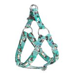 Pembroke Welsh Corgi, tricolor, blue - Step-in harness - april & june