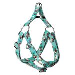 Pembroke Welsh Corgi, tricolor, blue - Step-in harness - april & june