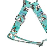 Pembroke Welsh Corgi, tricolor, blue - Step-in harness - april & june