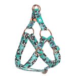 Boston Terrier, kék - Belelépős Kutyahám - Boston Terrier, blue - april & june