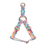 Trippy Mushrooms - Step-in harness - april & june