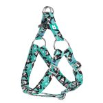 Border Collie, blue - Step-in harness - april & june