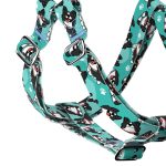 Border Collie, blue - Step-in harness - april & june