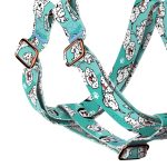 Dalmata, kék - Belelépős Kutyahám - Dalmatian, blue - april & june