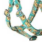 Golden Retriever, blue - Step-in harness - april & june