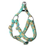 Golden retriever, kék - Belelépős Kutyahám - Golden retriever, blue - april & june