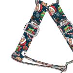 Santa and the Reindeers - Step-in harness - april & june