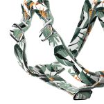 Papagájvirág - Belelépős Kutyahám - Strelitzia - april & june