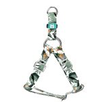 Papagájvirág - Belelépős Kutyahám - Strelitzia - april & june