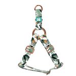 Papagájvirág - Belelépős Kutyahám - Strelitzia - april & june