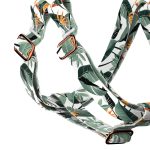 Papagájvirág - Belelépős Kutyahám - Strelitzia - april & june