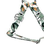 Papagájvirág - Belelépős Kutyahám - Strelitzia - april & june