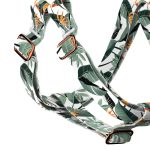 Papagájvirág - Belelépős Kutyahám - Strelitzia - april & june