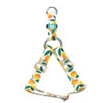 Mangó - Belelépős Kutyahám - Mango - april & june