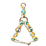 Mangó - Belelépős Kutyahám - Mango - april & june