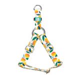 Mangó - Belelépős Kutyahám - Mango - april & june