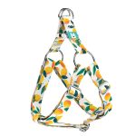 Mangó - Belelépős Kutyahám - Mango - april & june