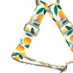 Mangó - Belelépős Kutyahám - Mango - april & june