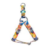 Színes nyári este - Belelépős Kutyahám - Colorful summer nights - april & june