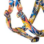 Színes nyári este - Belelépős Kutyahám - Colorful summer nights - april & june