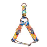 Színes nyári este - Belelépős Kutyahám - Colorful summer nights - april & june