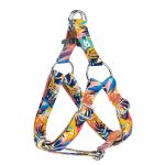 Színes nyári este - Belelépős Kutyahám - Colorful summer nights - april & june