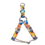 Színes nyári este - Belelépős Kutyahám - Colorful summer nights - april & june