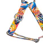 Színes nyári este - Belelépős Kutyahám - Colorful summer nights - april & june