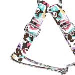 Cardigan Welsh Corgi - Belelépős Kutyahám - april & june