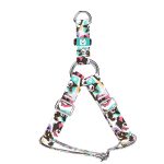 Cardigan Welsh Corgi - Belelépős Kutyahám - april & june