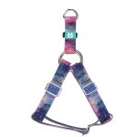 Galaxis - Belelépős Kutyahám - Galaxy - april & june