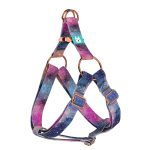 Galaxis - Belelépős Kutyahám - Galaxy - april & june