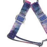 Galaxis - Belelépős Kutyahám - Galaxy - april & june